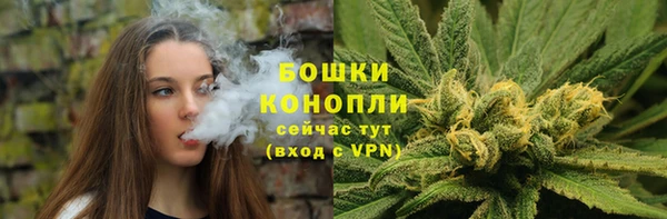 гидропоника Кулебаки