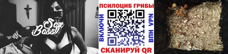 Псилоцибиновые грибы прущие грибы  Мостовской 